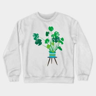 Groovy Cheese Plant in colour planter Crewneck Sweatshirt